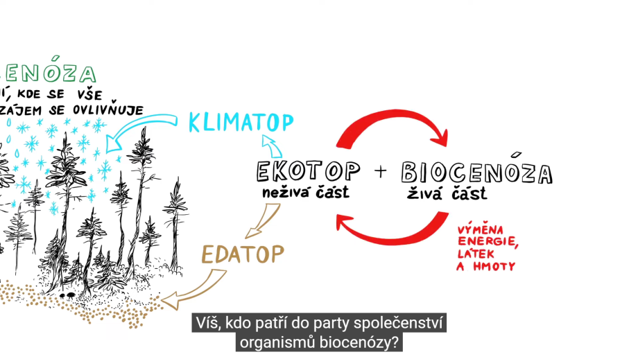 Optimizely Ekosystem Ekosystémy - Školství v Královéhradeckém kraji